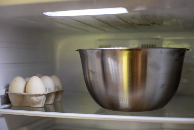 dog dough ball in fridge