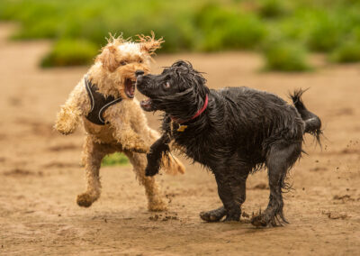 Ruby and Maisie