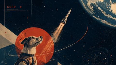 russian space dog russian space dogs : Laika, Belka, and Strelka