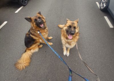 sitting nice at start of the walk