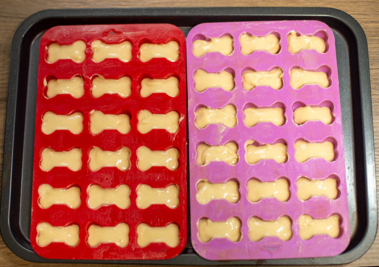 dog cake mix in mould