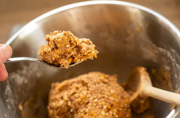 spoonful dog dough on spoon