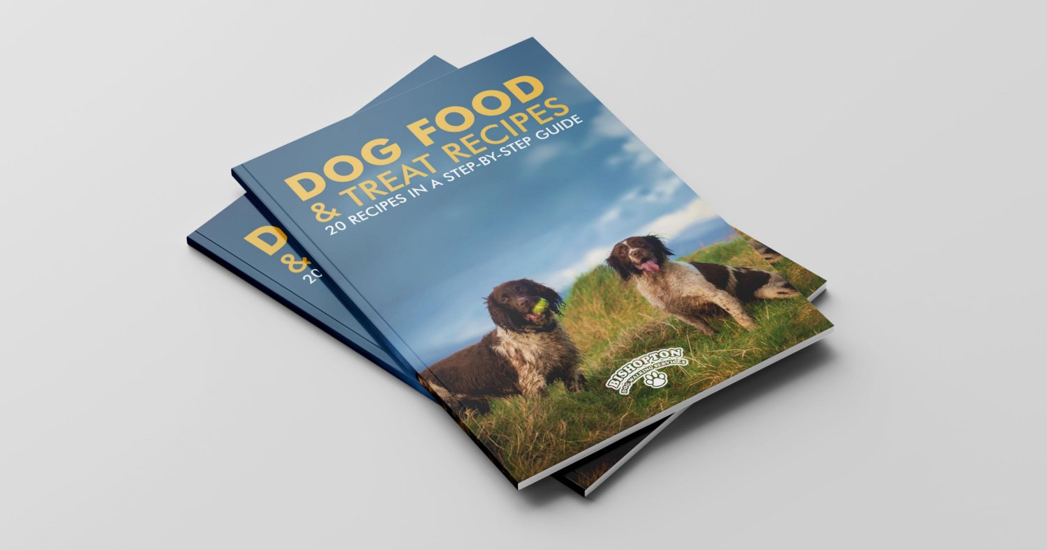 treat book dog treat book promo